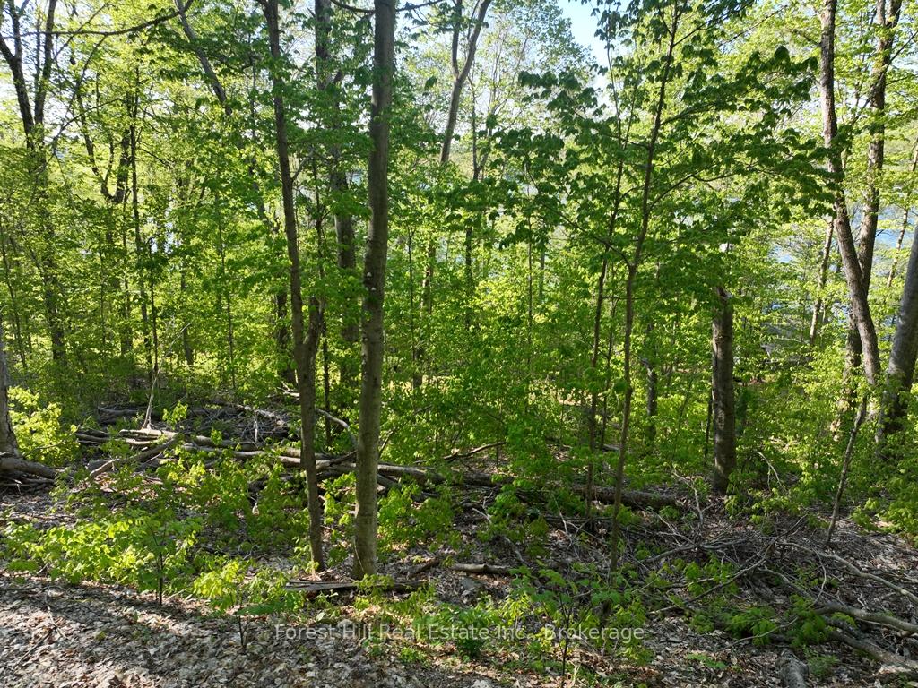 Photo 10 of 1582 North Creek Drive, Algonquin Highlands, McClintock — HOMEH