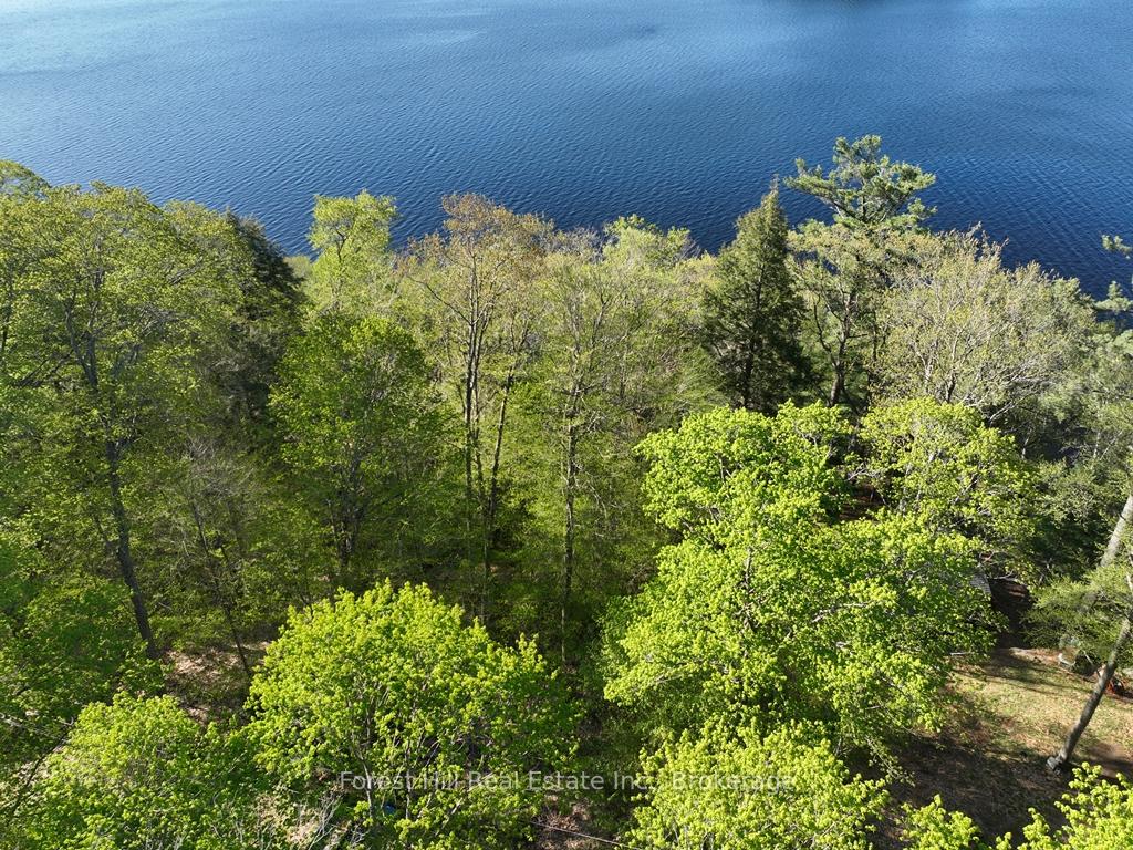 Photo 15 of 1582 North Creek Drive, Algonquin Highlands, McClintock — HOMEH