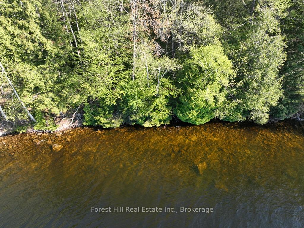 Photo 18 of 1582 North Creek Drive, Algonquin Highlands, McClintock — HOMEH