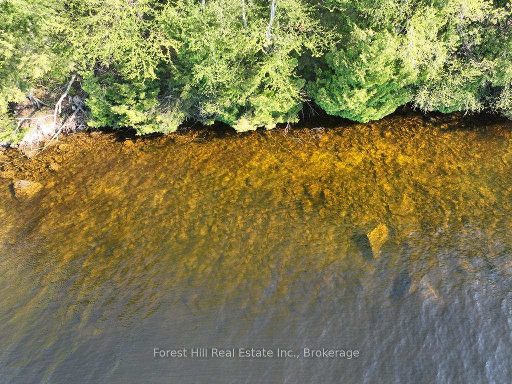 Photo 20 of 1582 North Creek Drive, Algonquin Highlands, McClintock — HOMEH