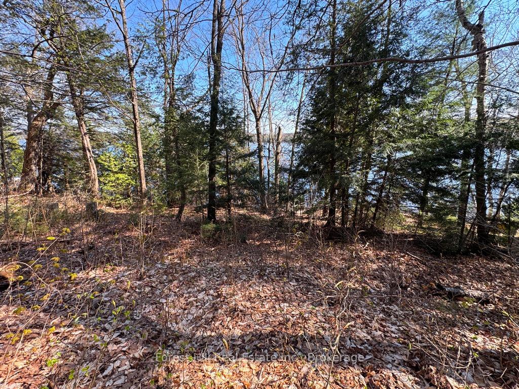 Photo 21 of 1582 North Creek Drive, Algonquin Highlands, McClintock — HOMEH