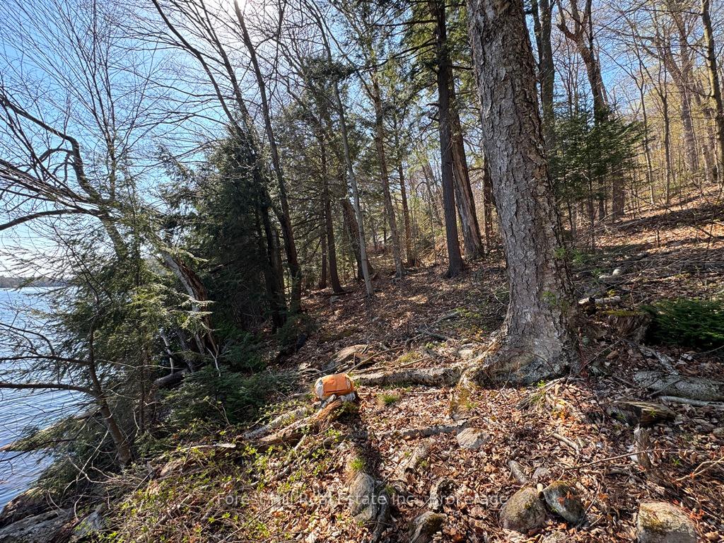 Photo 23 of 1582 North Creek Drive, Algonquin Highlands, McClintock — HOMEH