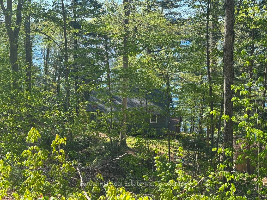 Photo 22 of 1582 North Creek Drive, Algonquin Highlands, McClintock — HOMEH