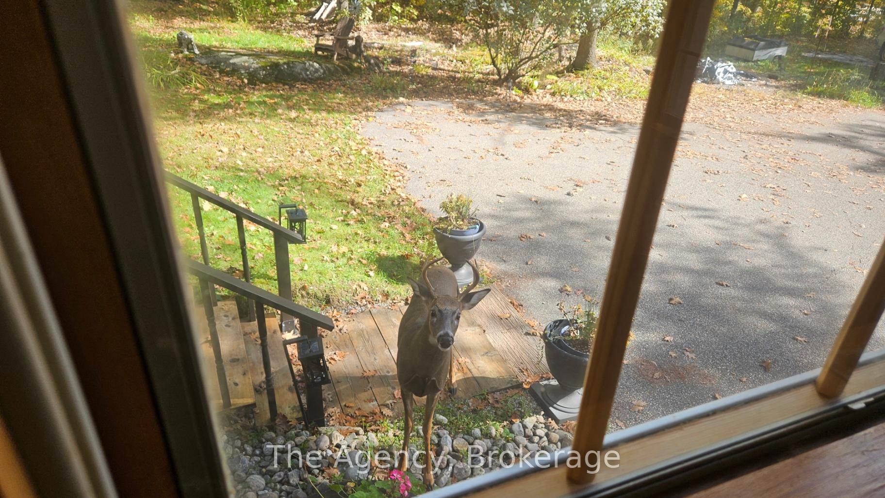 Photo 17 of 1411 Cedar Lane, Bracebridge, Macaulay — HOMEH