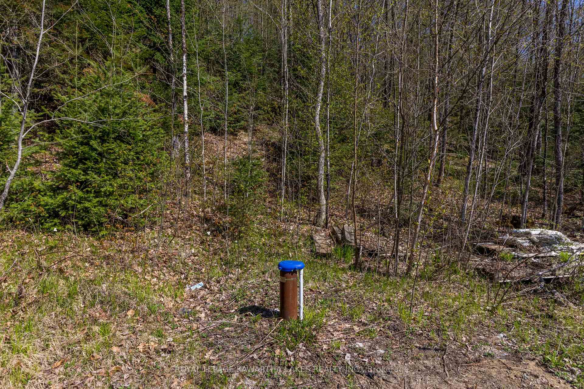 Photo 34 of 166 Jeffrey Lake Road, Faraday — HOMEH