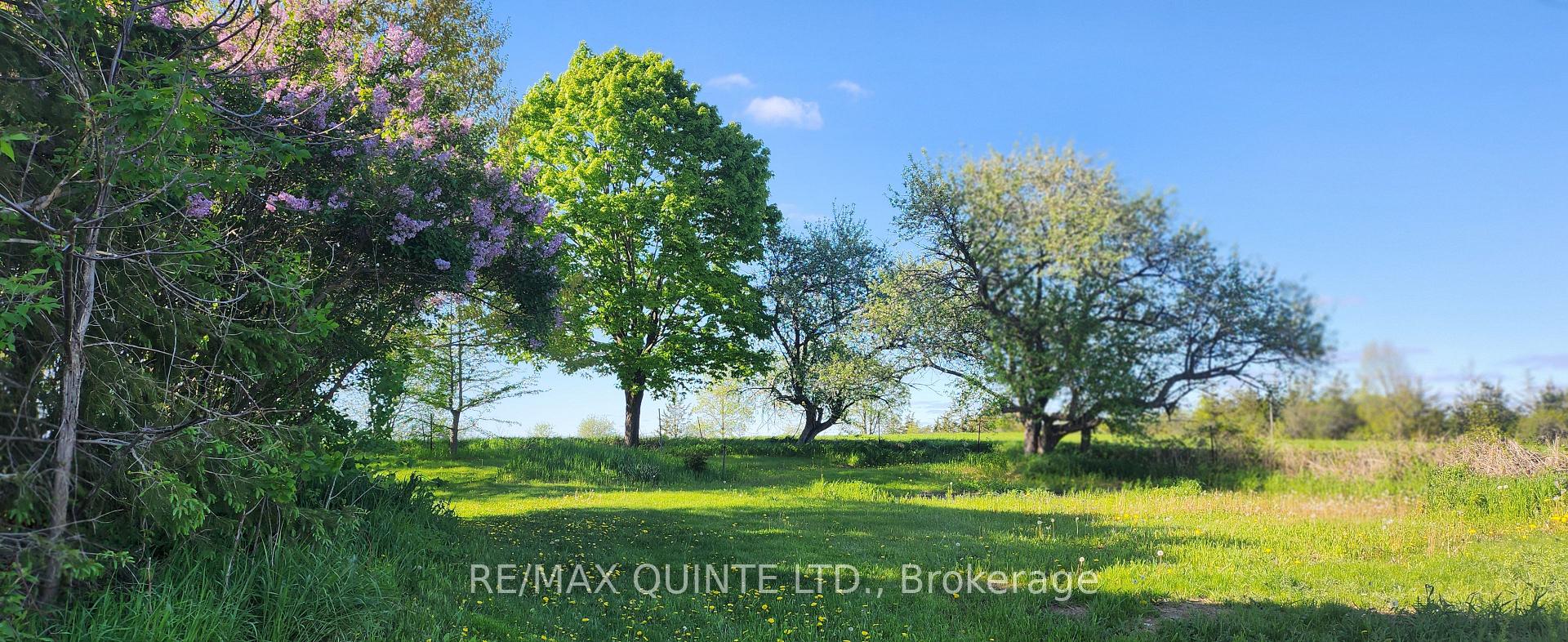 Photo 8 of 266 Bronk Road, Belleville, Thurlow Ward — HOMEH