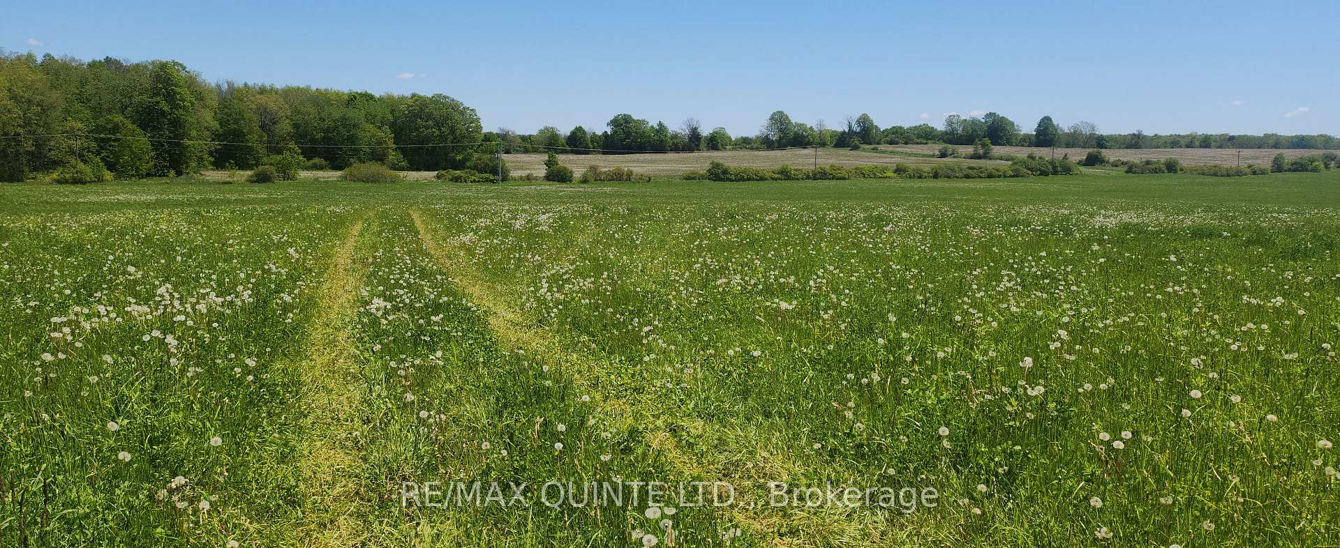Photo 17 of 266 Bronk Road, Belleville, Thurlow Ward — HOMEH