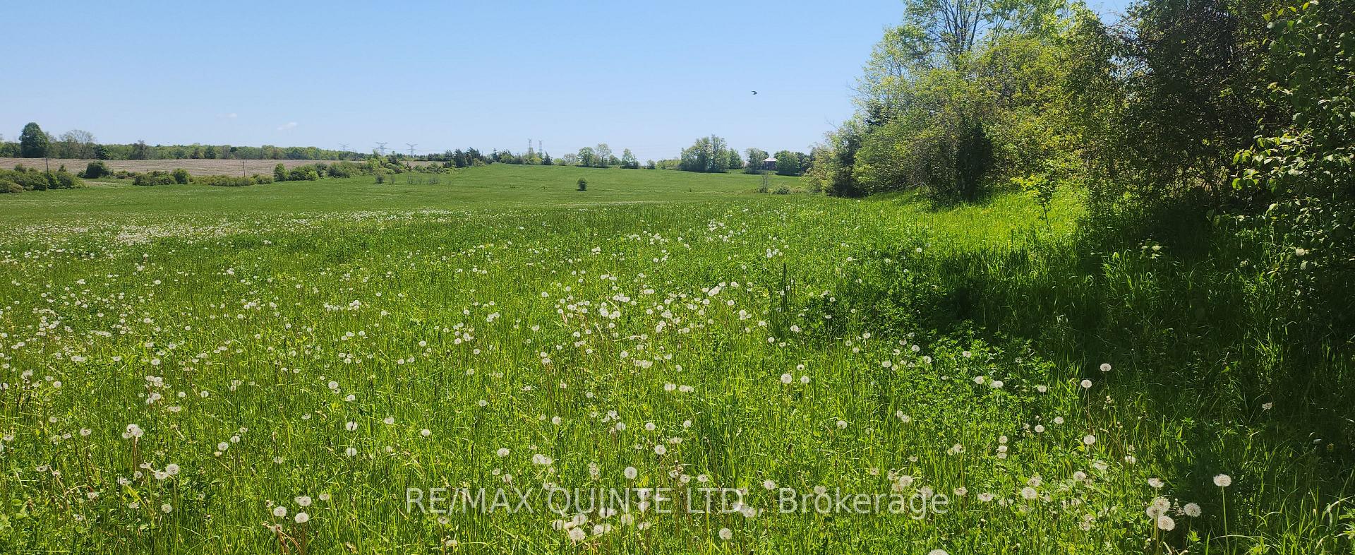 Photo 24 of 266 Bronk Road, Belleville, Thurlow Ward — HOMEH
