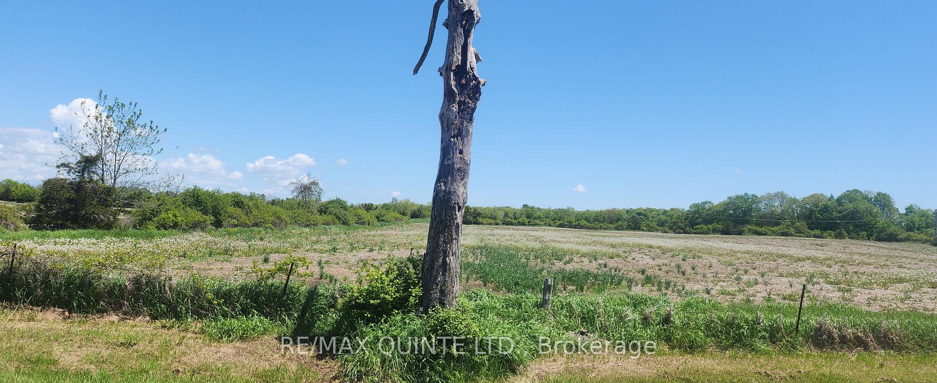 Photo 23 of 266 Bronk Road, Belleville, Thurlow Ward — HOMEH