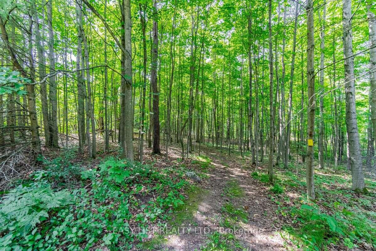 Photo 42 of 16258 Humber Station Road, Caledon, Rural Caledon — HOMEH