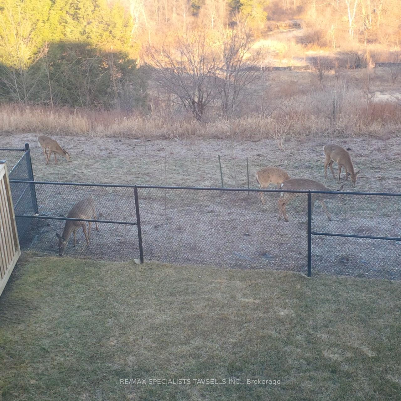 Photo 37 of 44 Gentle Fox Drive, Caledon, Rural Caledon — HOMEH