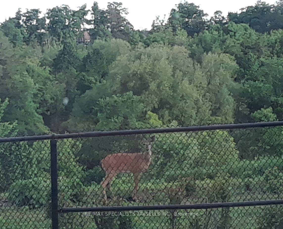 Photo 26 of 44 Gentle Fox Drive, Caledon, Rural Caledon — HOMEH