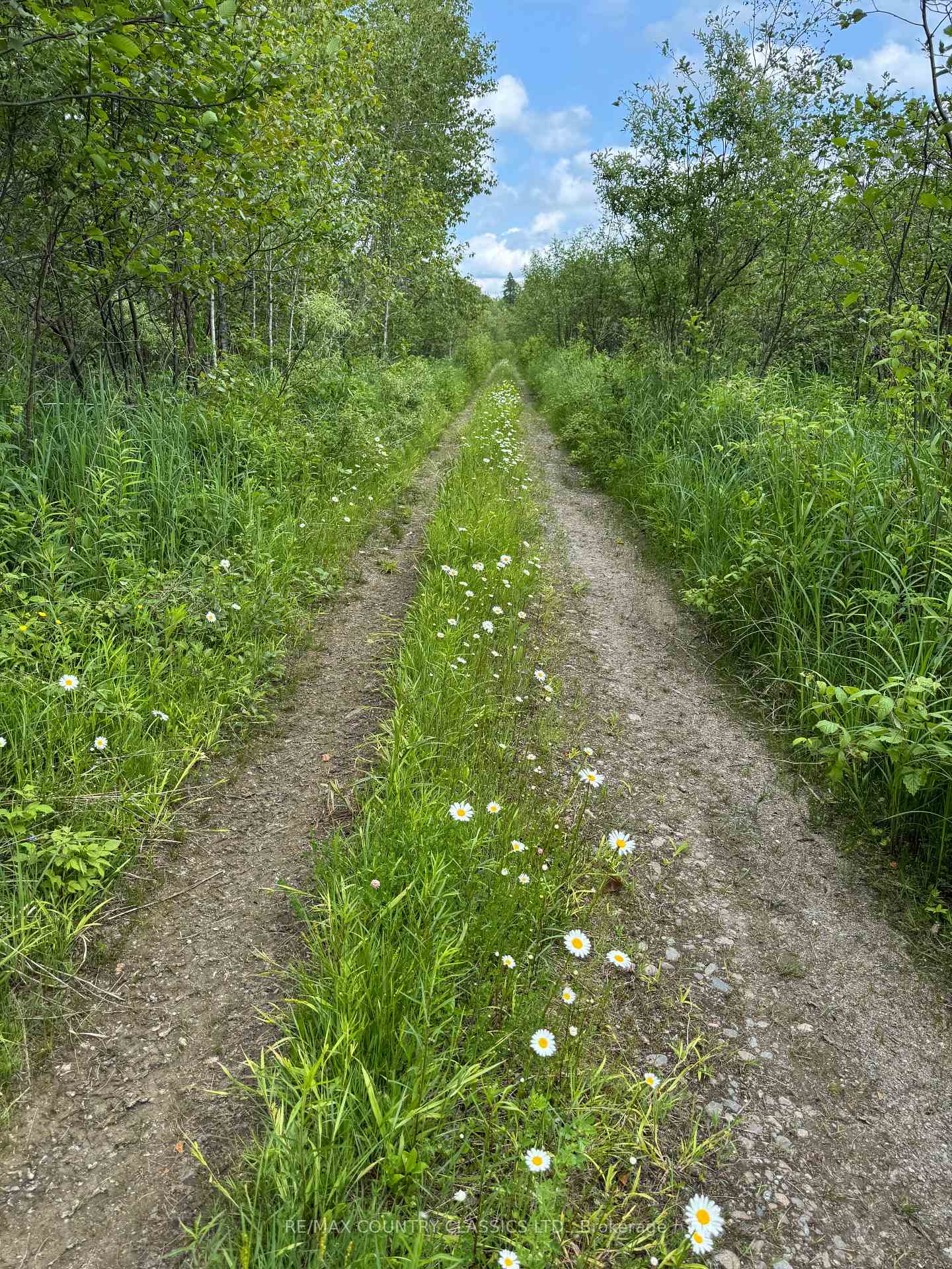 Photo 1 of Jones Road, Wollaston — HOMEH