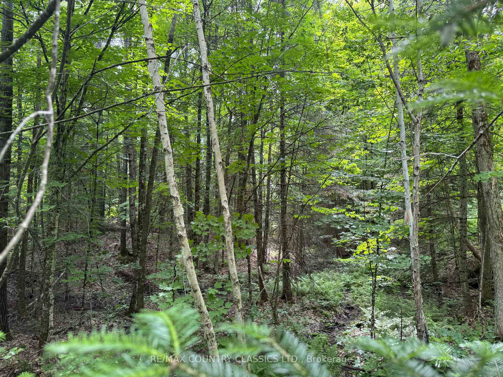 Photo 5 of Jones Road, Wollaston — HOMEH