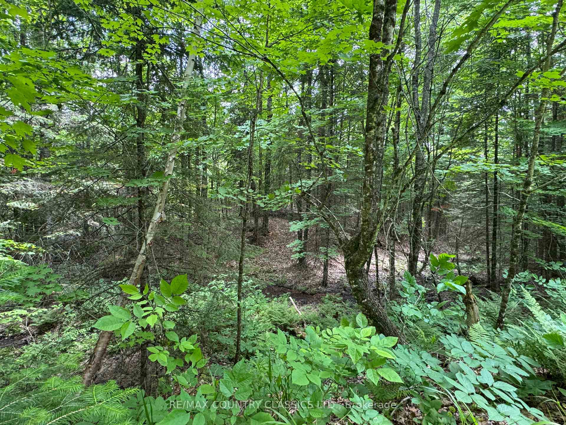 Photo 9 of Jones Road, Wollaston — HOMEH
