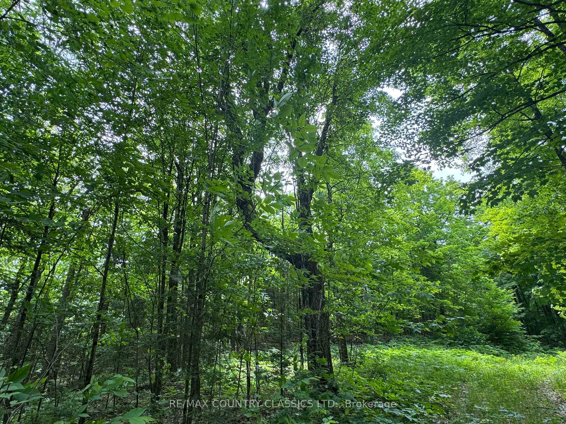 Photo 11 of Jones Road, Wollaston — HOMEH