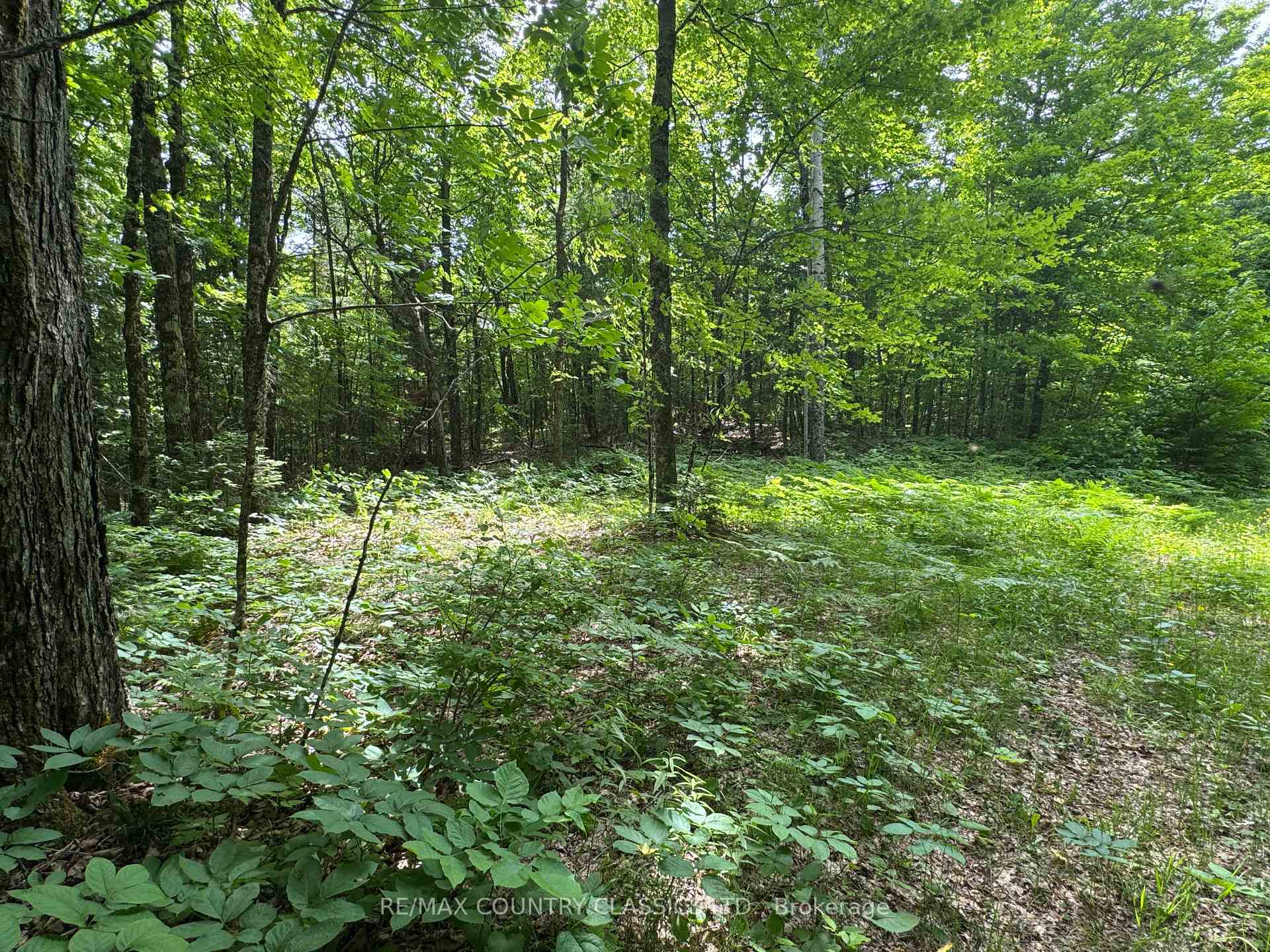 Photo 8 of Jones Road, Wollaston — HOMEH