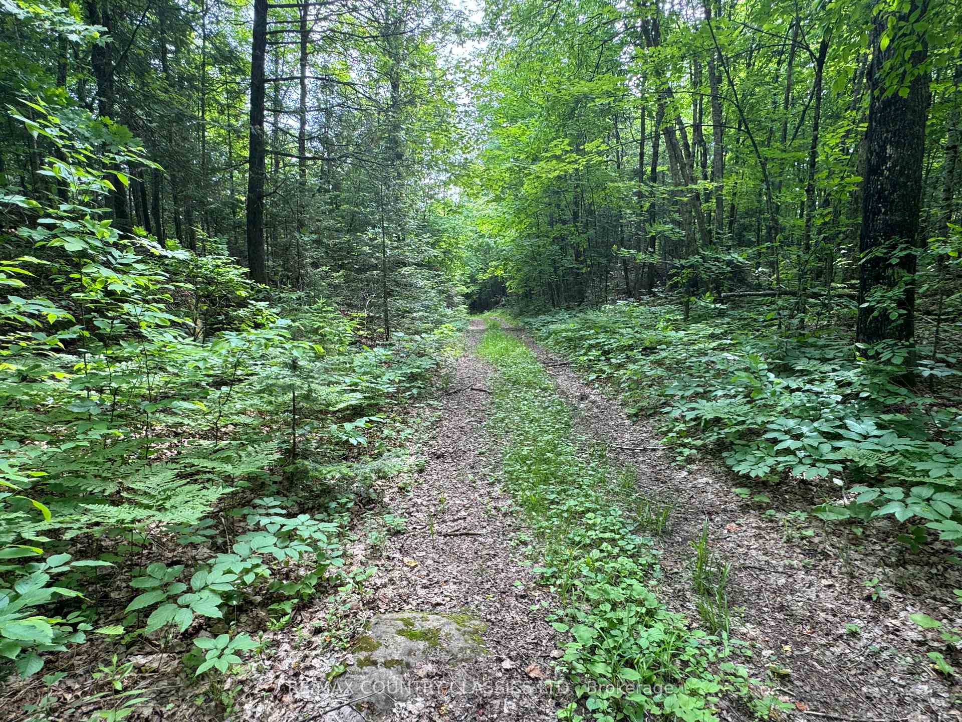 Photo 14 of Jones Road, Wollaston — HOMEH