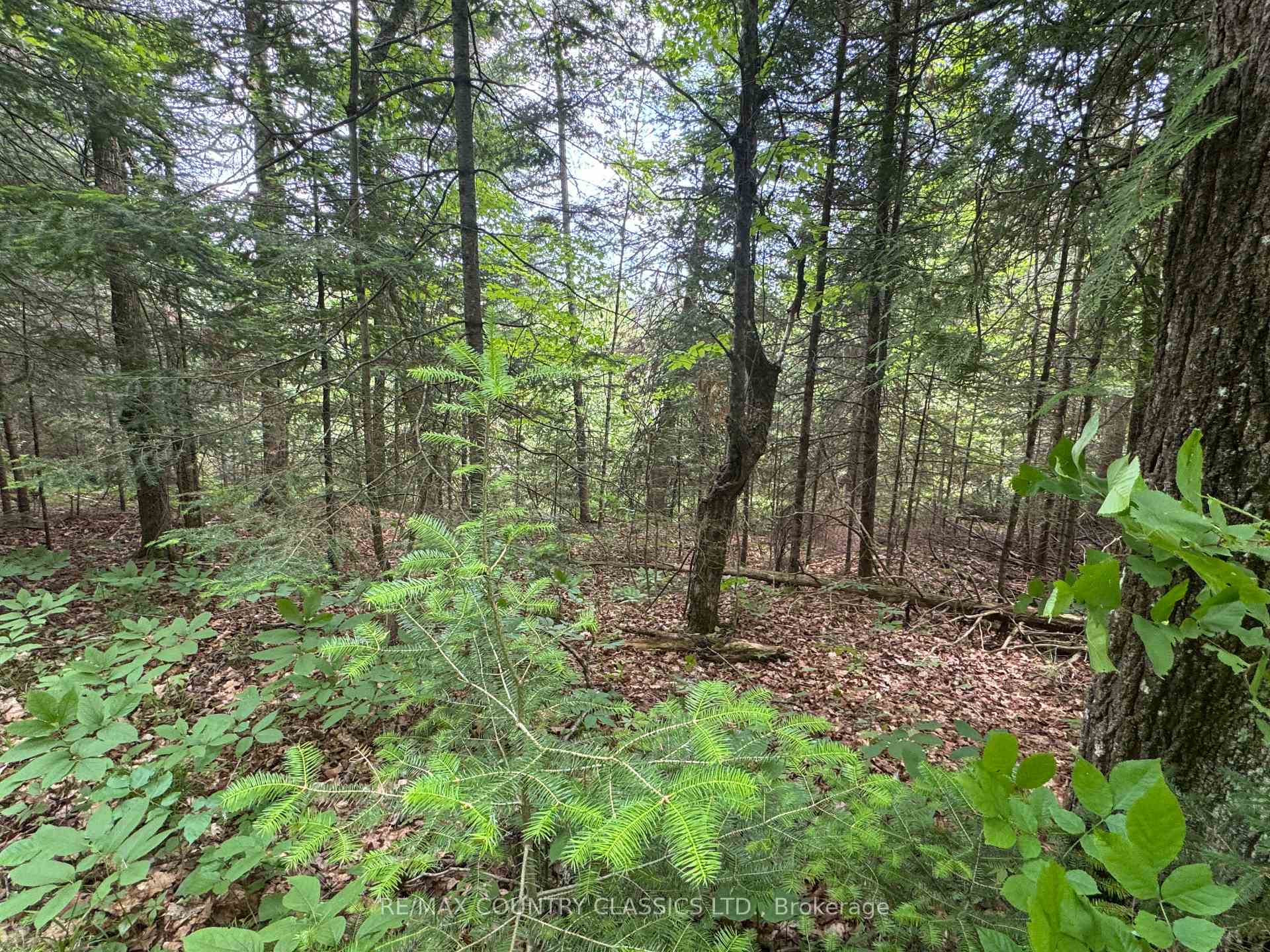 Photo 16 of Jones Road, Wollaston — HOMEH