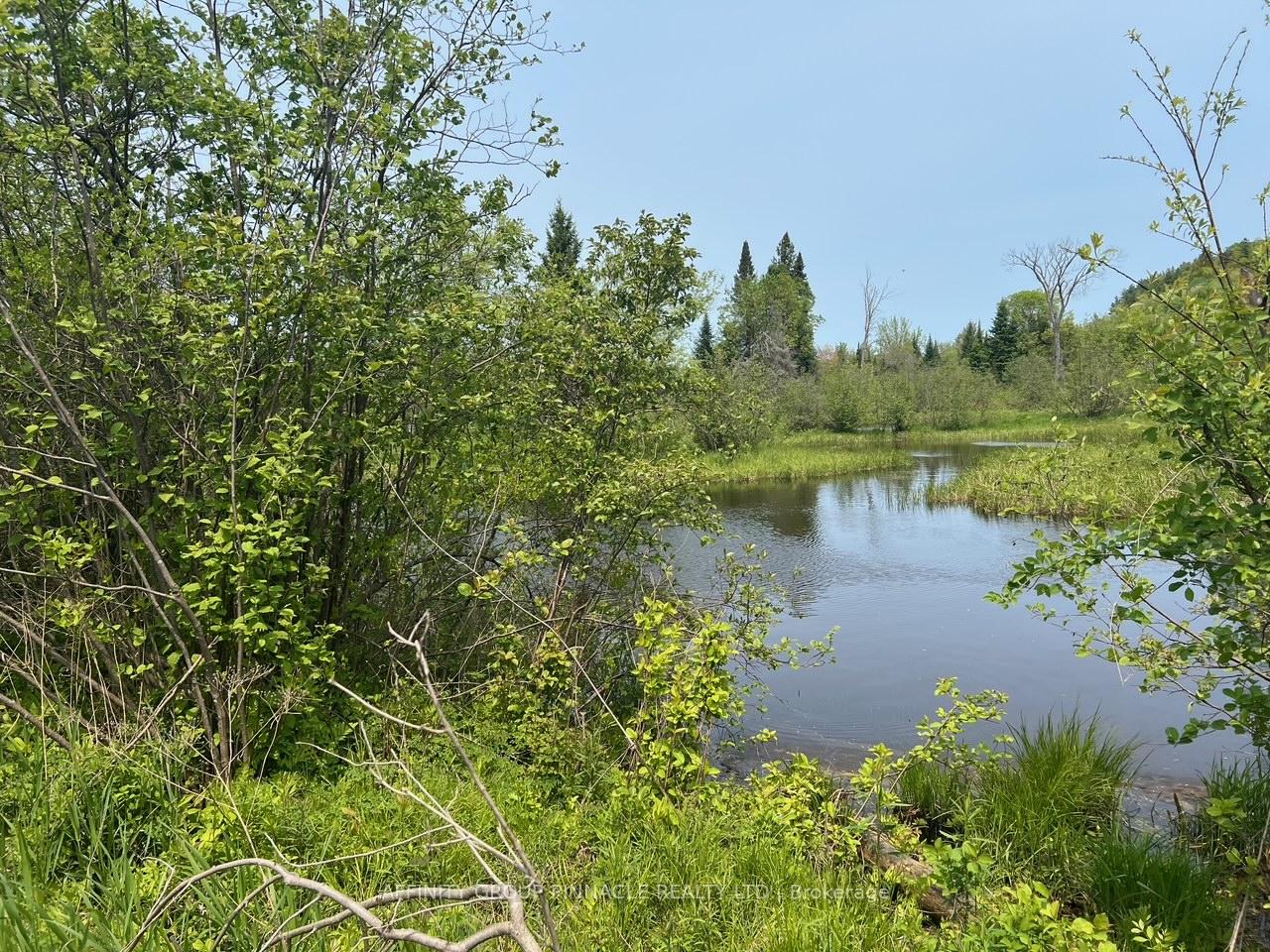 Photo 2 of Trout Creek Lane, Bancroft — HOMEH