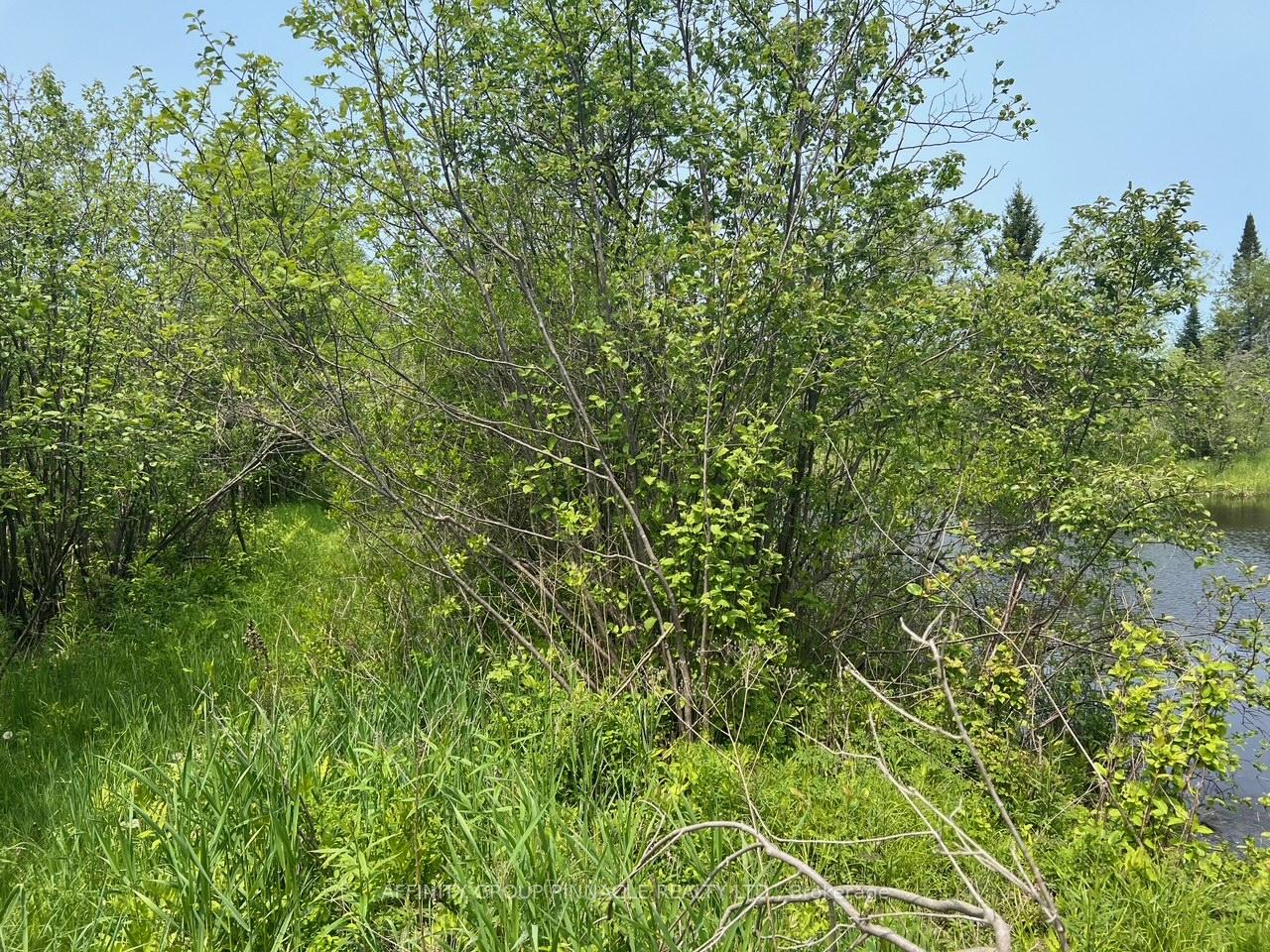 Photo 3 of Trout Creek Lane, Bancroft — HOMEH