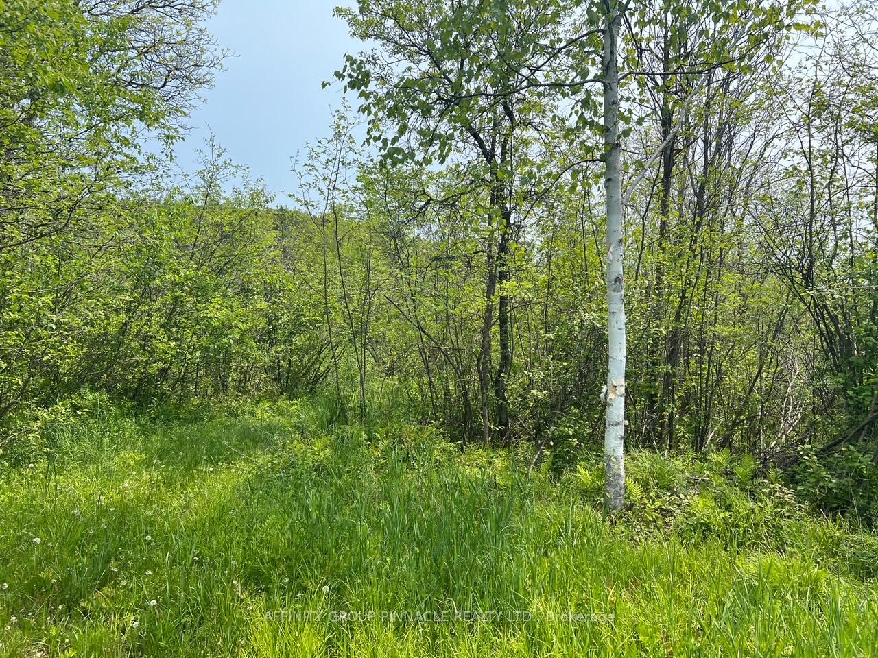 Photo 4 of Trout Creek Lane, Bancroft — HOMEH