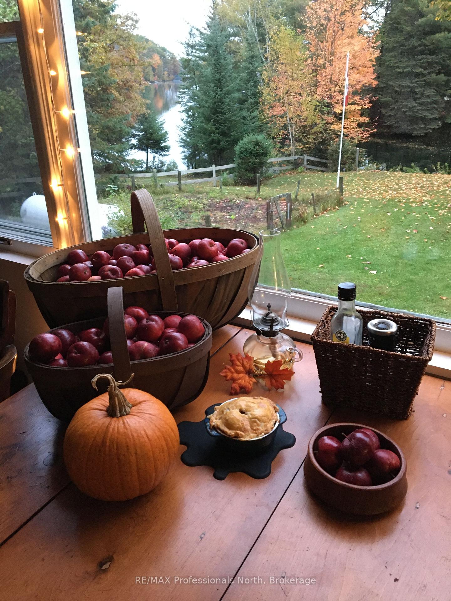 Photo 15 of 1010 Sturgeon Drive, Minden Hills, Minden — HOMEH