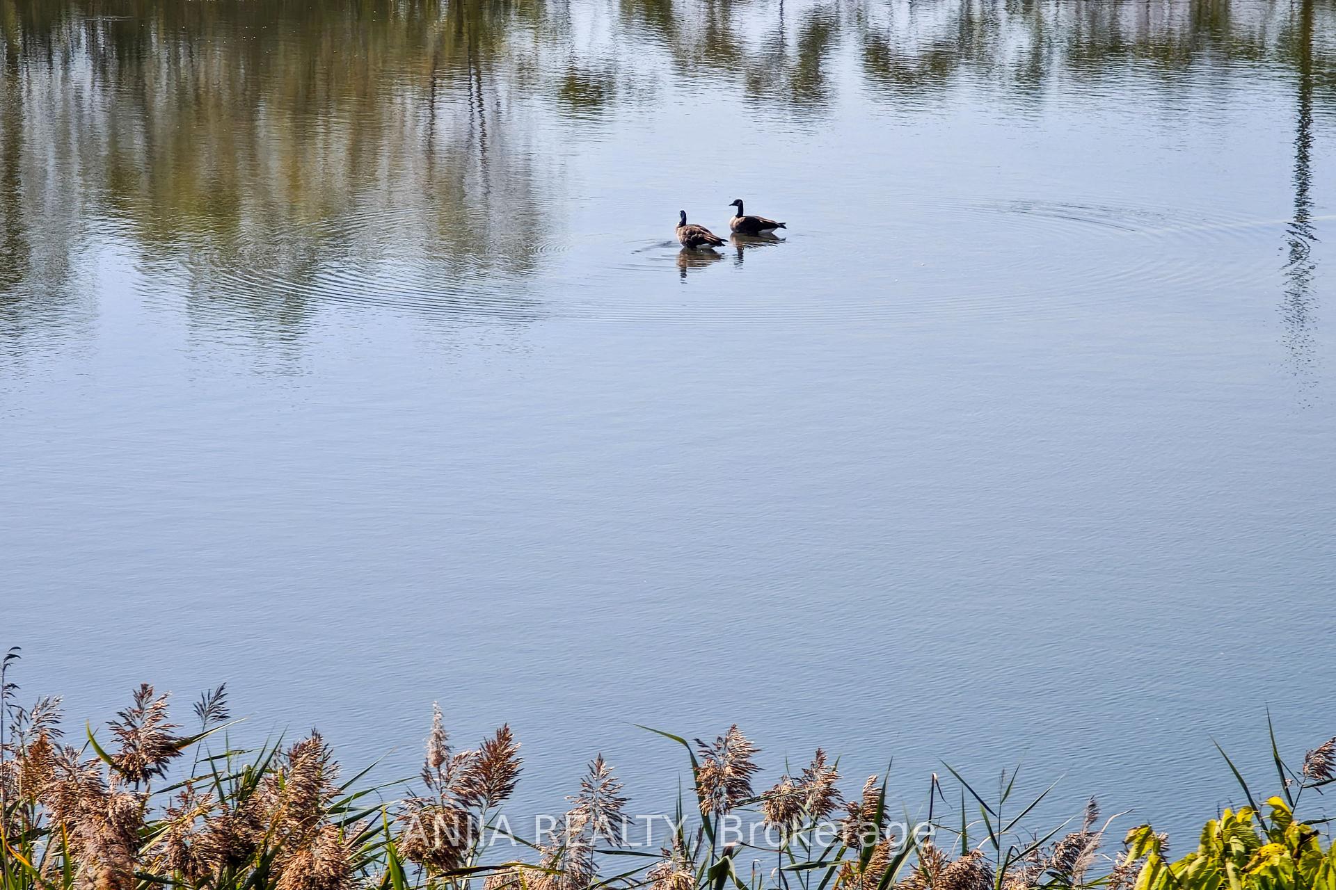 Photo 47 of 16 Velvet Drive, Whitby, Rural Whitby — HOMEH