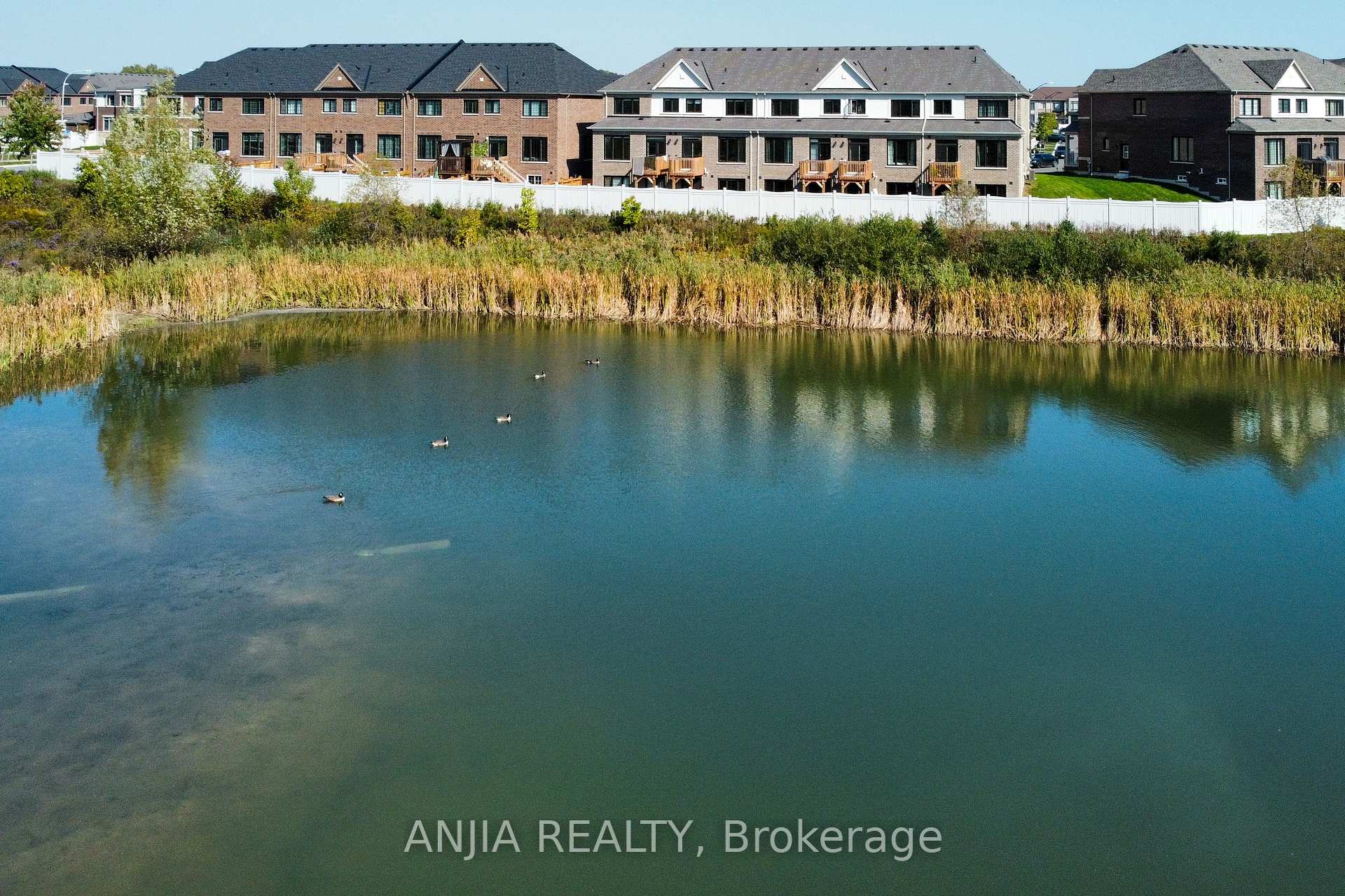 Photo 44 of 16 Velvet Drive, Whitby, Rural Whitby — HOMEH