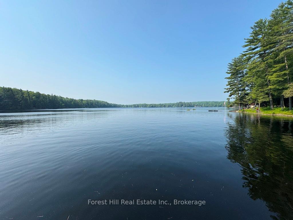 Photo 32 of 1131 Buckslide Road, Algonquin Highlands, Stanhope — HOMEH