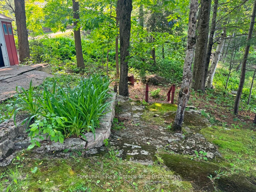 Photo 49 of 1131 Buckslide Road, Algonquin Highlands, Stanhope — HOMEH
