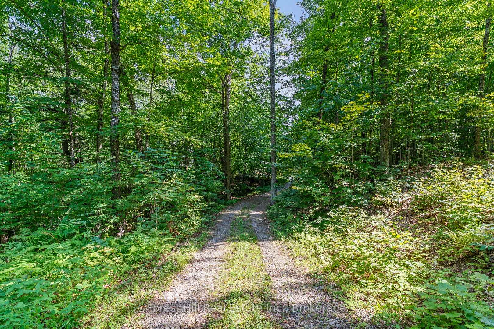 Photo 5 of 1277 Causeway Drive, Algonquin Highlands, McClintock — HOMEH