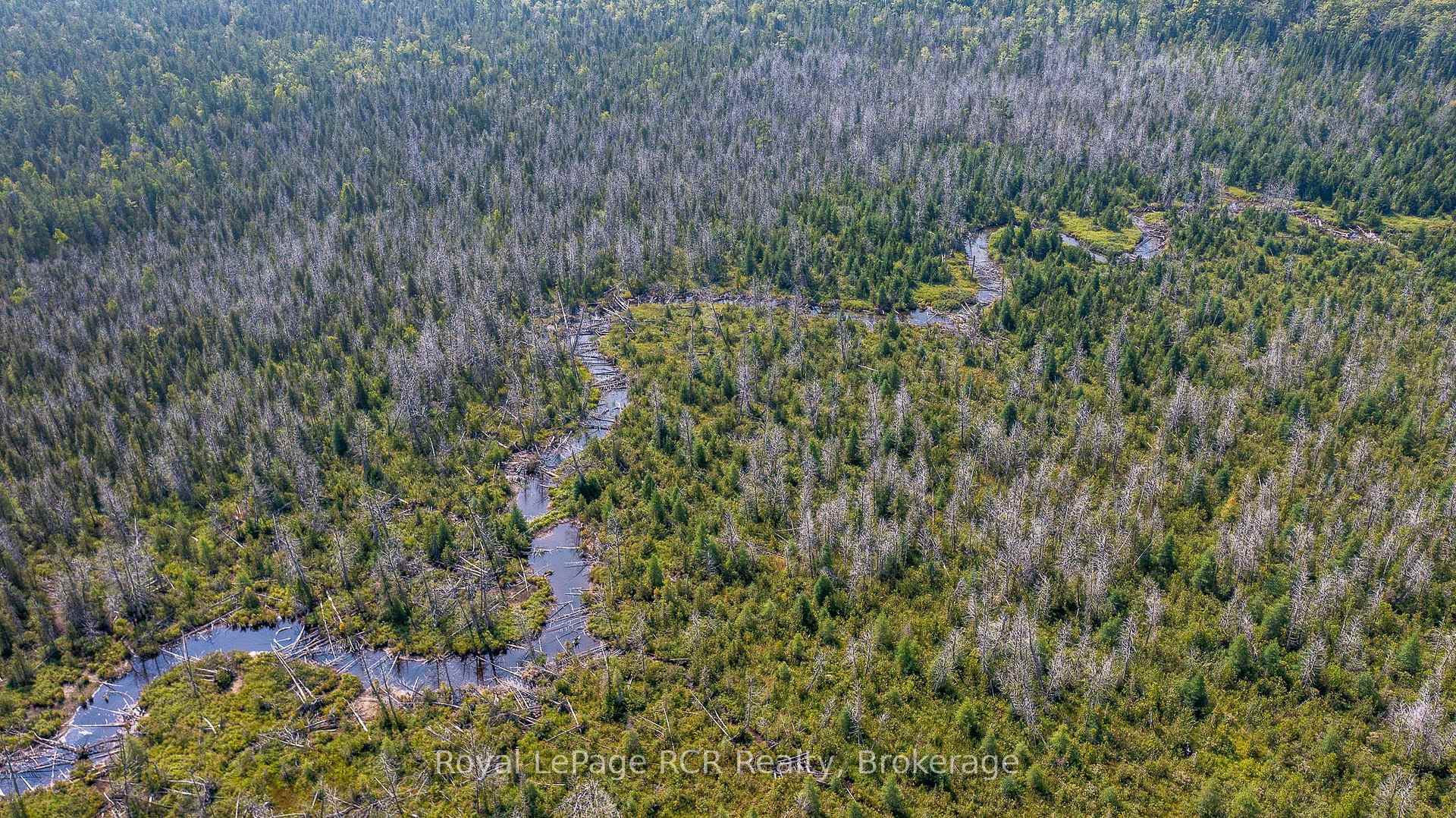 Photo 10 of Lot 6 12th Concession B, Grey Highlands — HOMEH