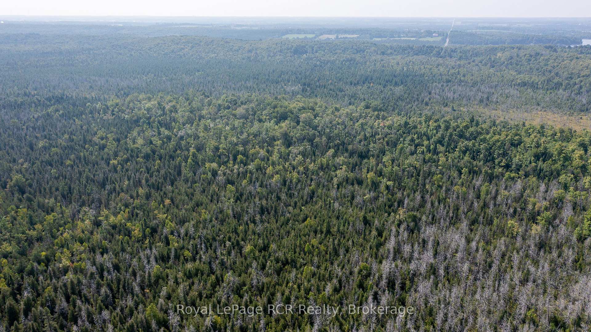 Photo 11 of Lot 6 12th Concession B, Grey Highlands — HOMEH