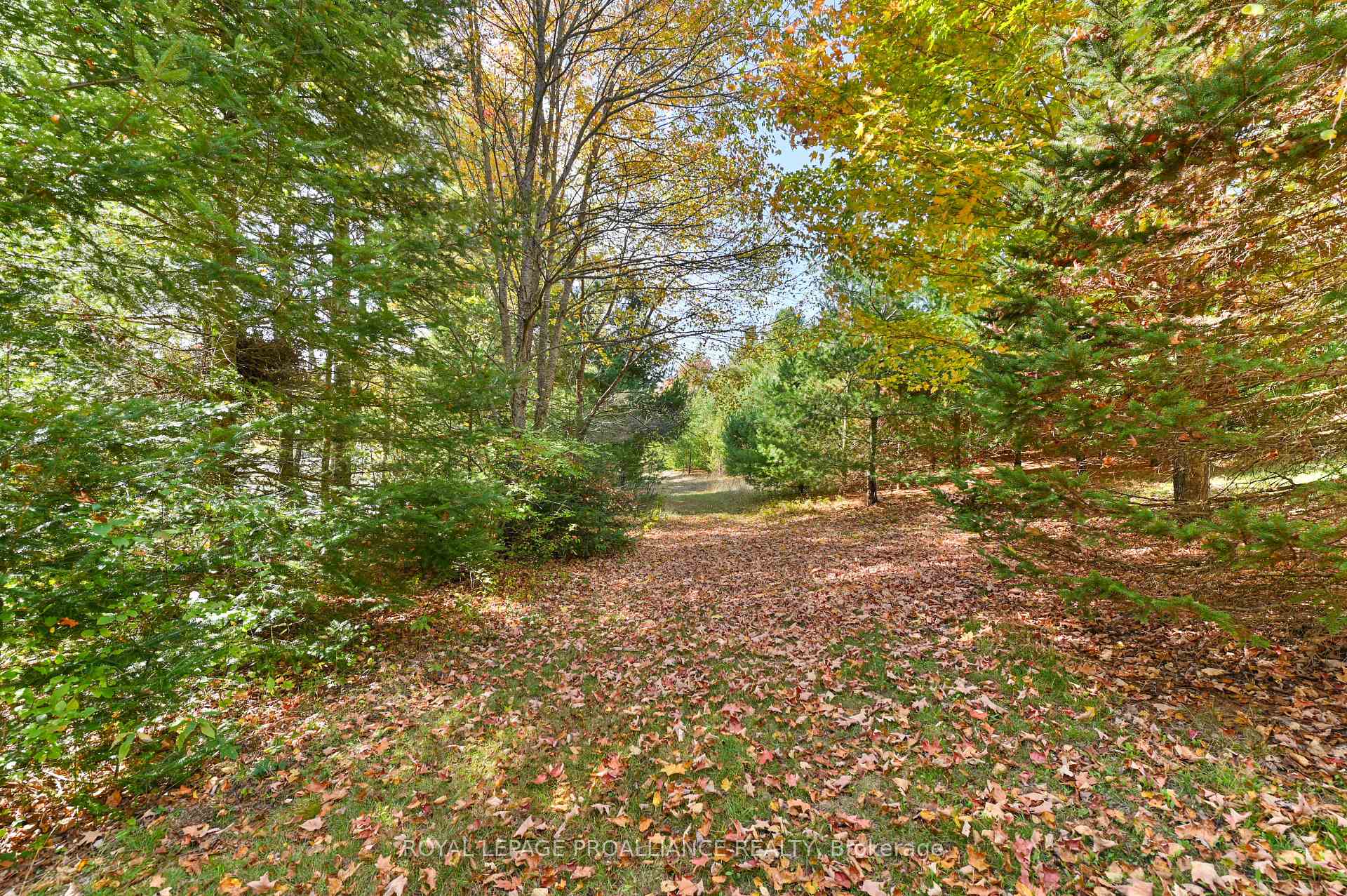 Photo 9 of 471 Elzevir Road, Tweed, Elzevir (Twp) — HOMEH