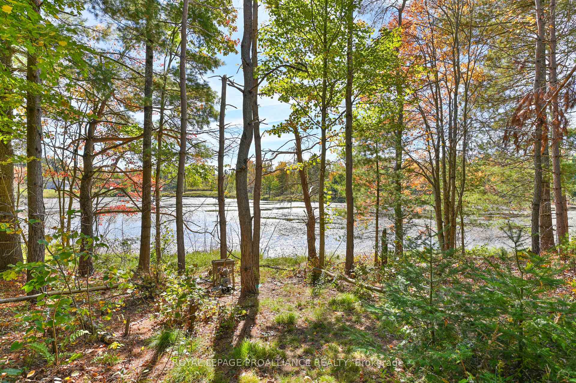 Photo 34 of 471 Elzevir Road, Tweed, Elzevir (Twp) — HOMEH