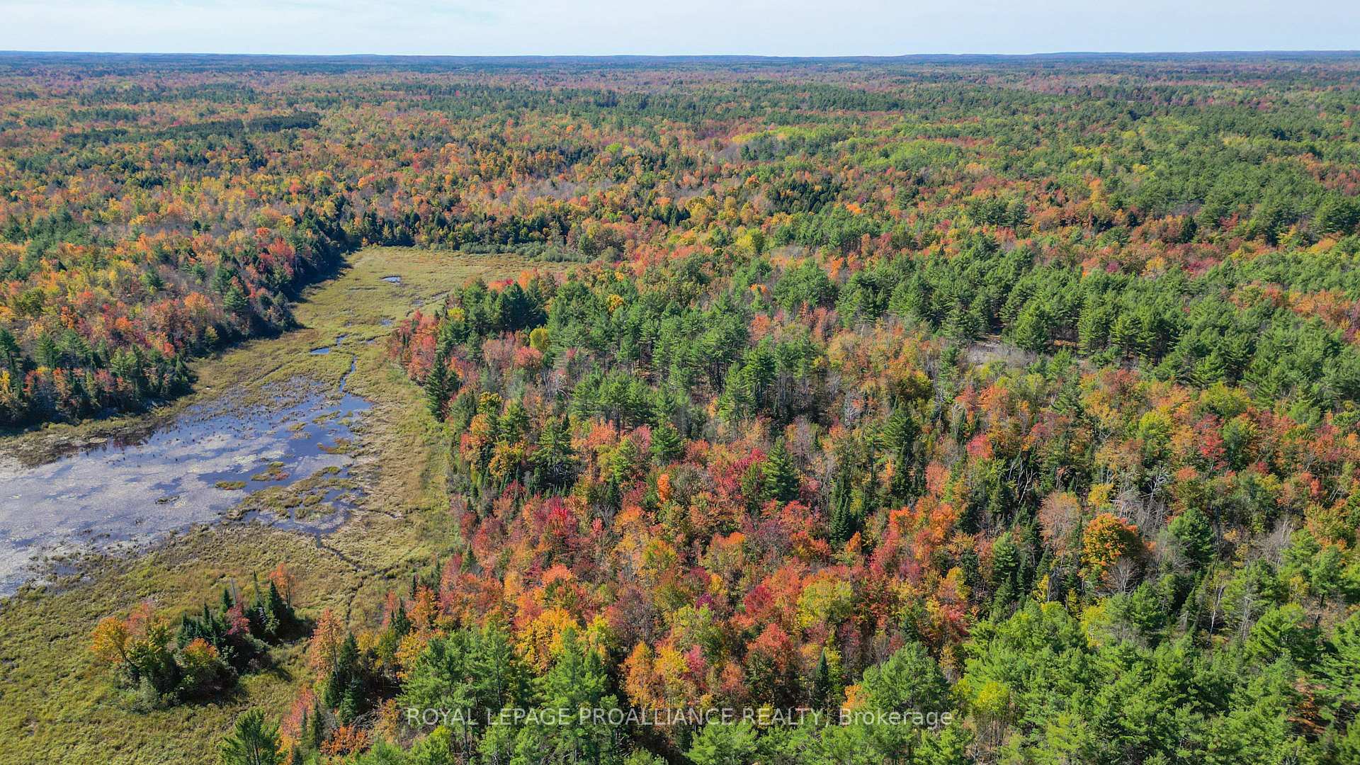 Photo 38 of 471 Elzevir Road, Tweed, Elzevir (Twp) — HOMEH
