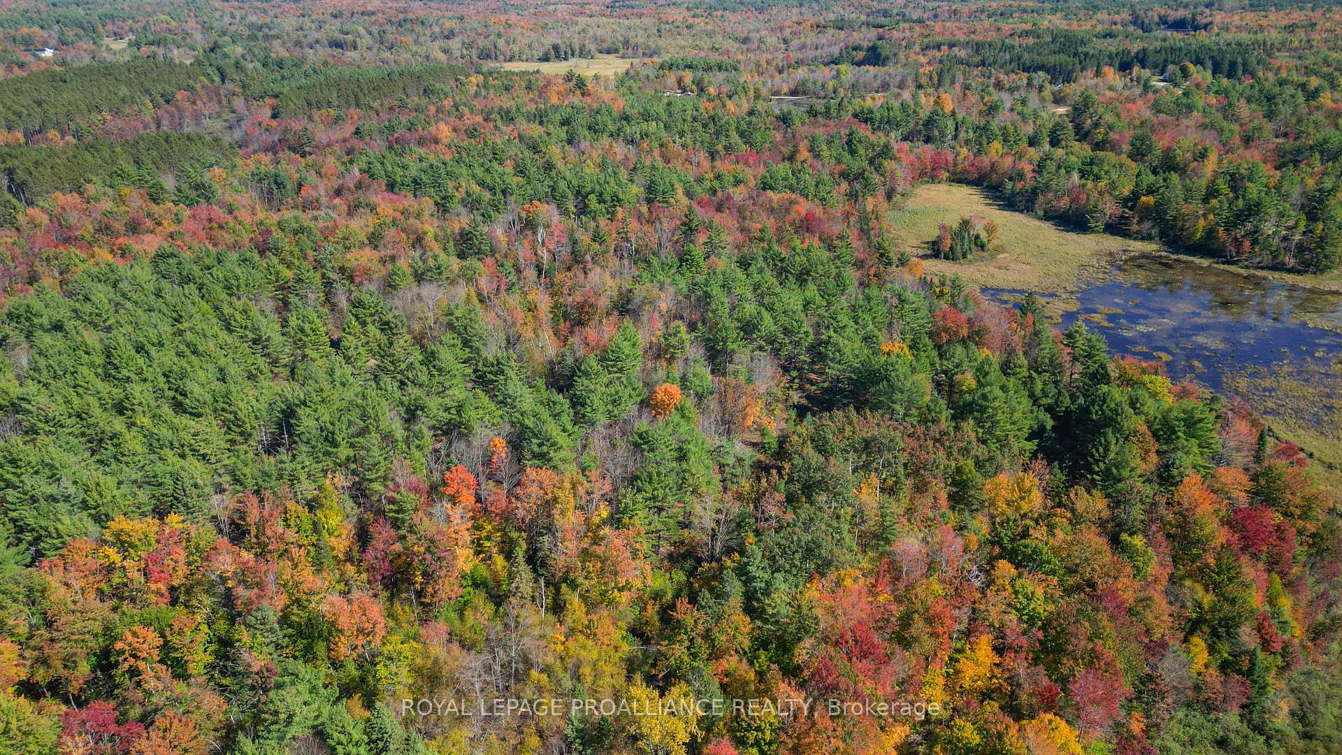 Photo 48 of 471 Elzevir Road, Tweed, Elzevir (Twp) — HOMEH