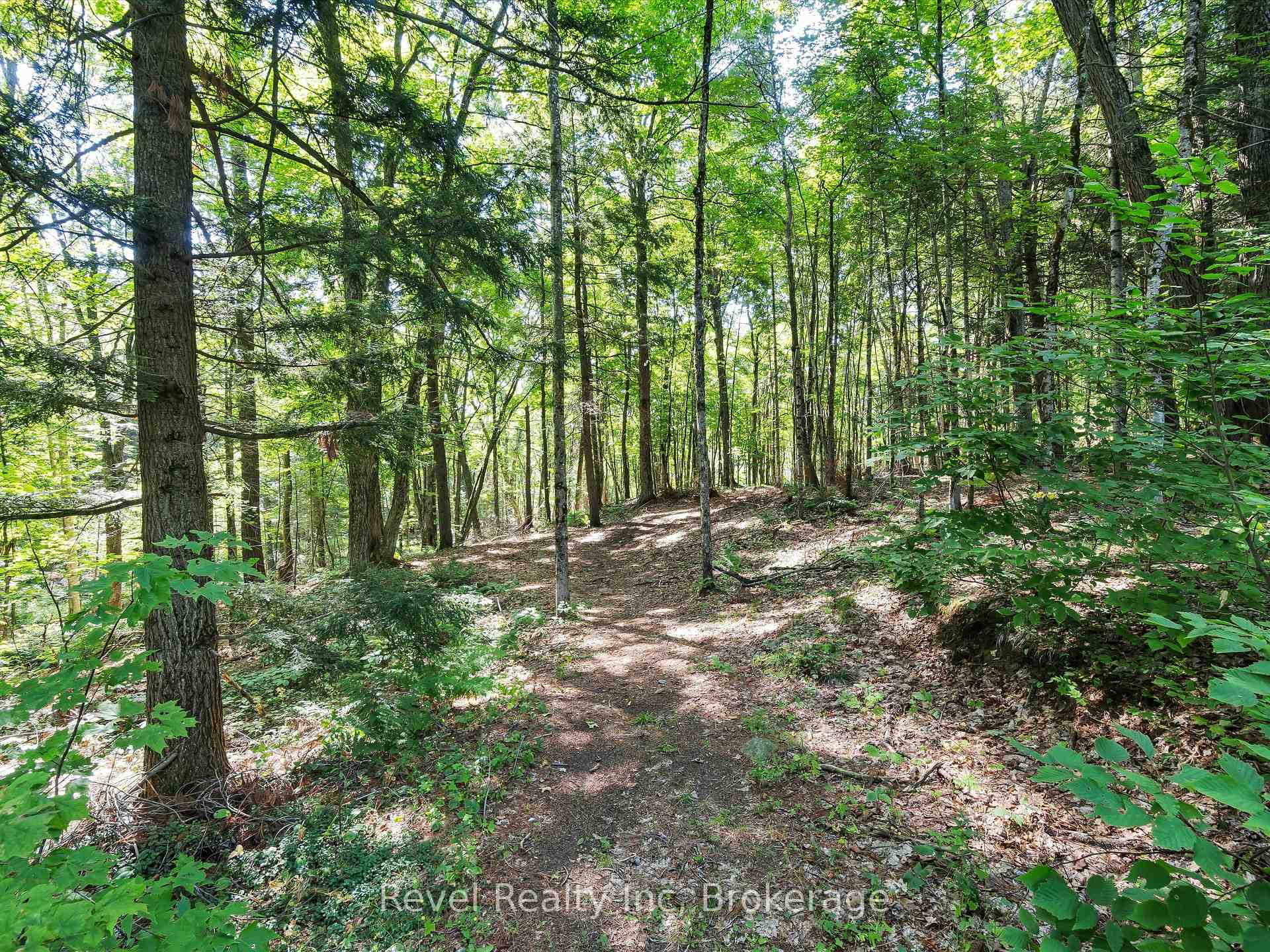 Photo 19 of 2762 118 Highway E, Bracebridge, Oakley — HOMEH