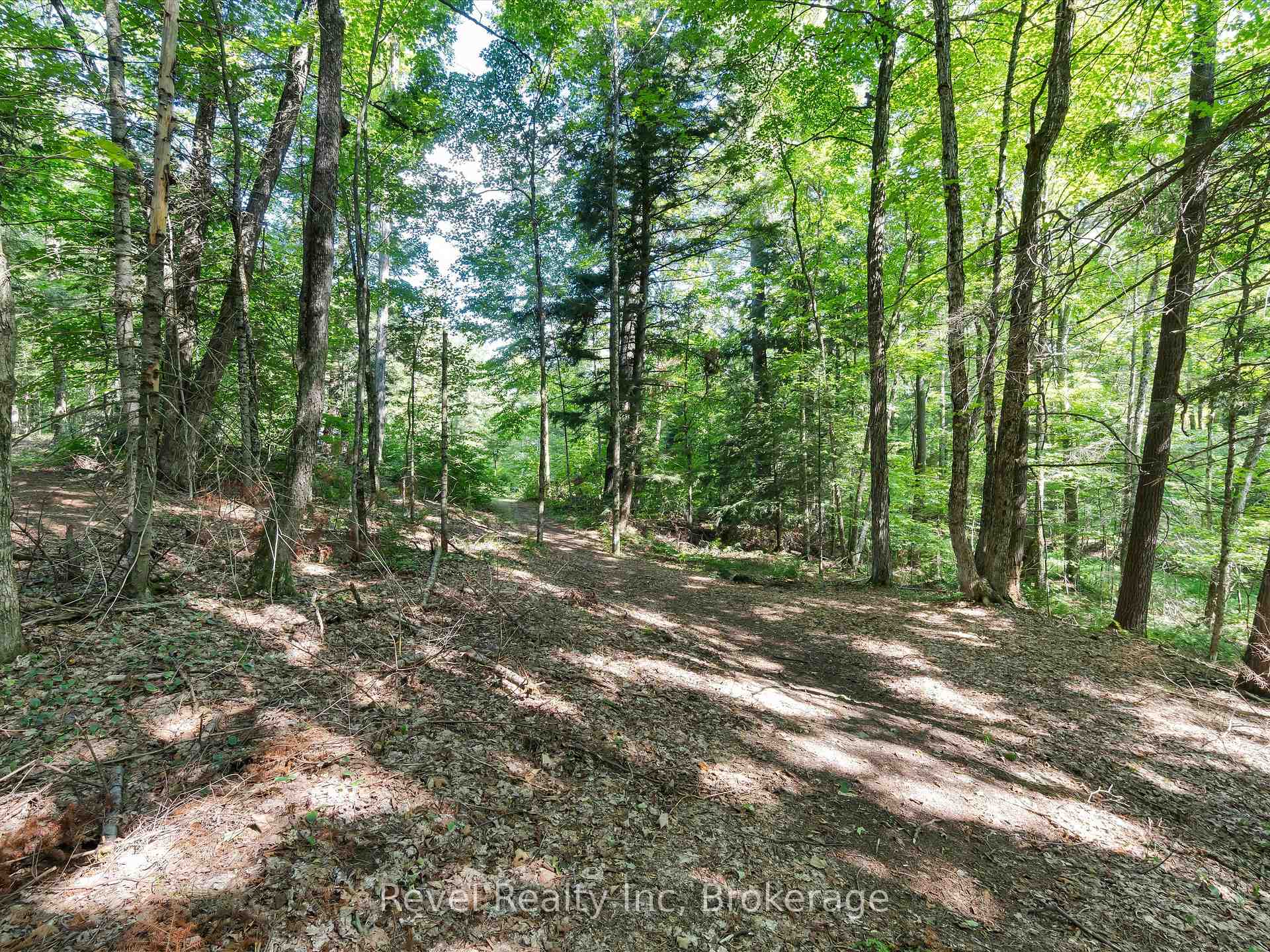 Photo 12 of 2762 118 Highway E, Bracebridge, Oakley — HOMEH