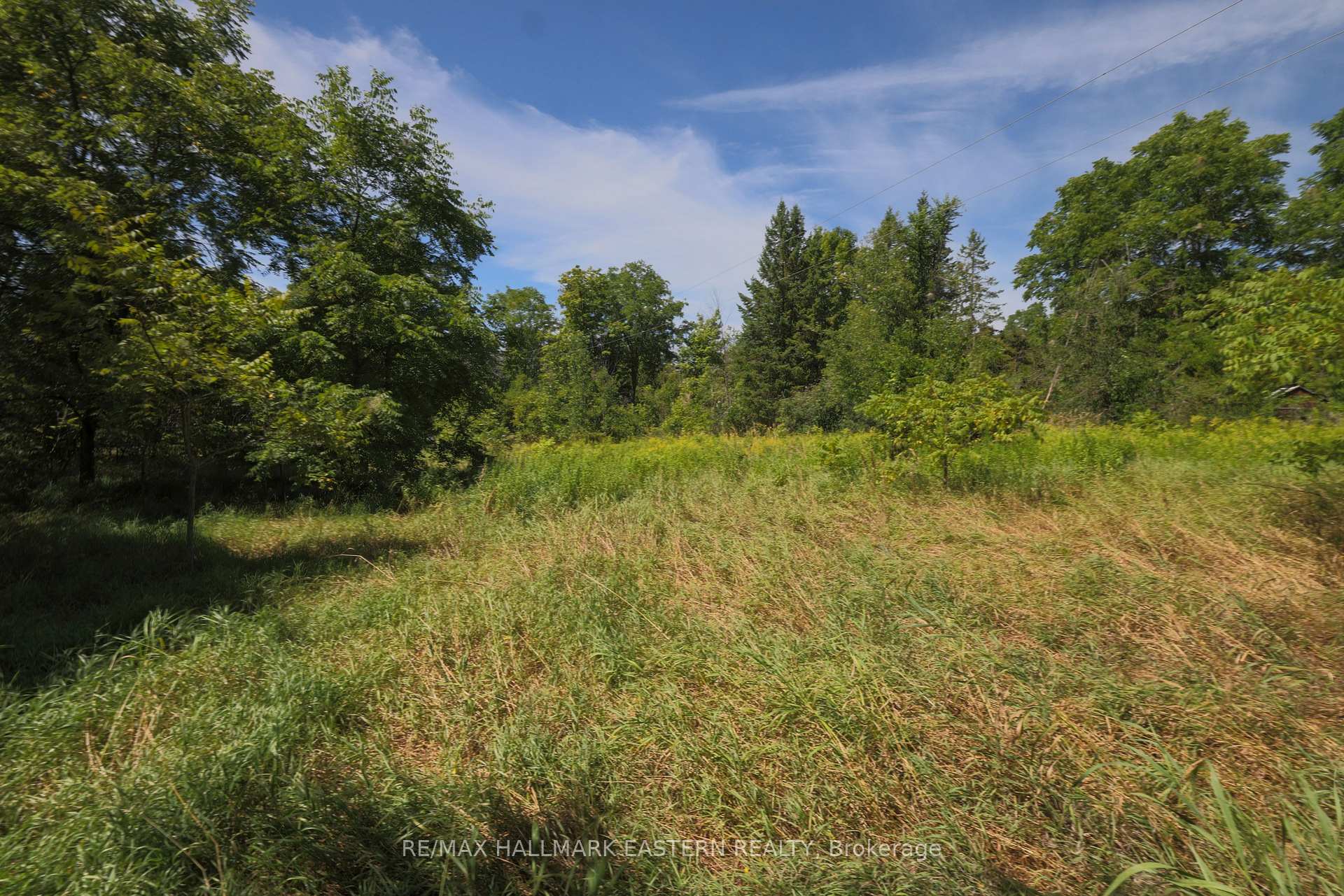 Photo 1 of County Road 29, Douro-Dummer — HOMEH