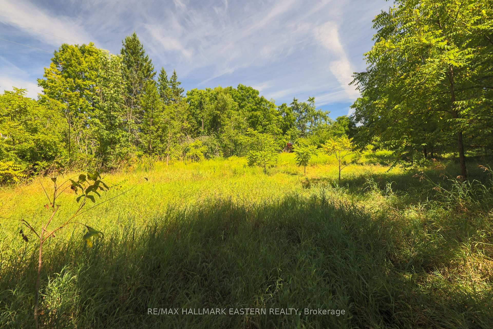 Photo 3 of County Road 29, Douro-Dummer — HOMEH
