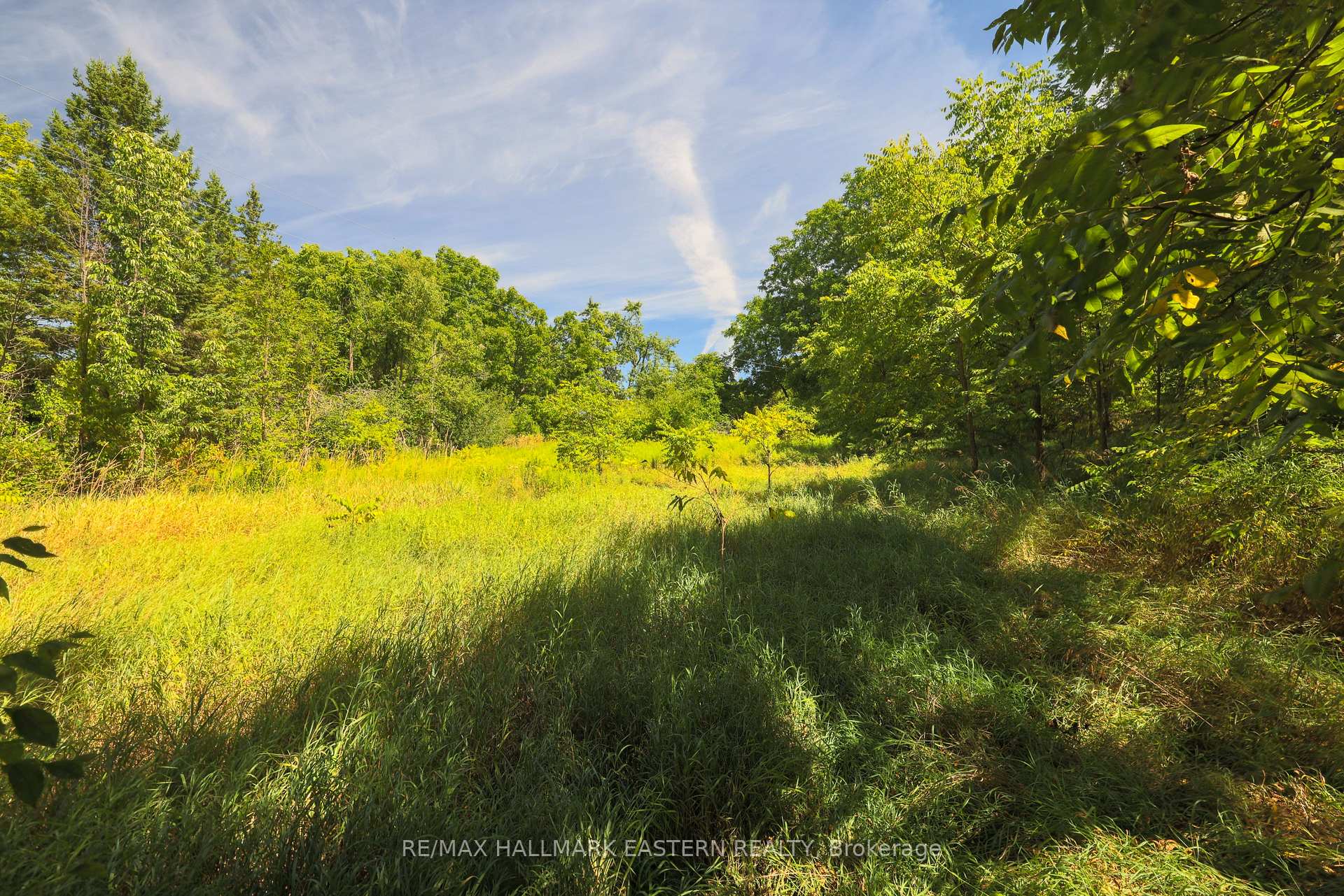 Photo 4 of County Road 29, Douro-Dummer — HOMEH