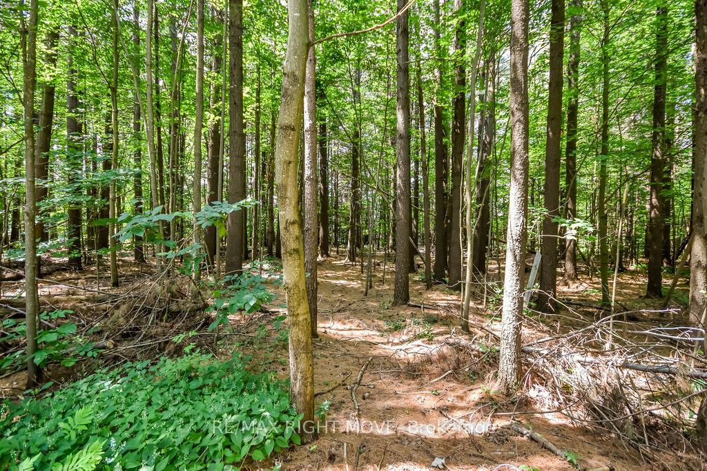 Photo 39 of 1011 Talbot Trail, Gravenhurst, Morrison — HOMEH
