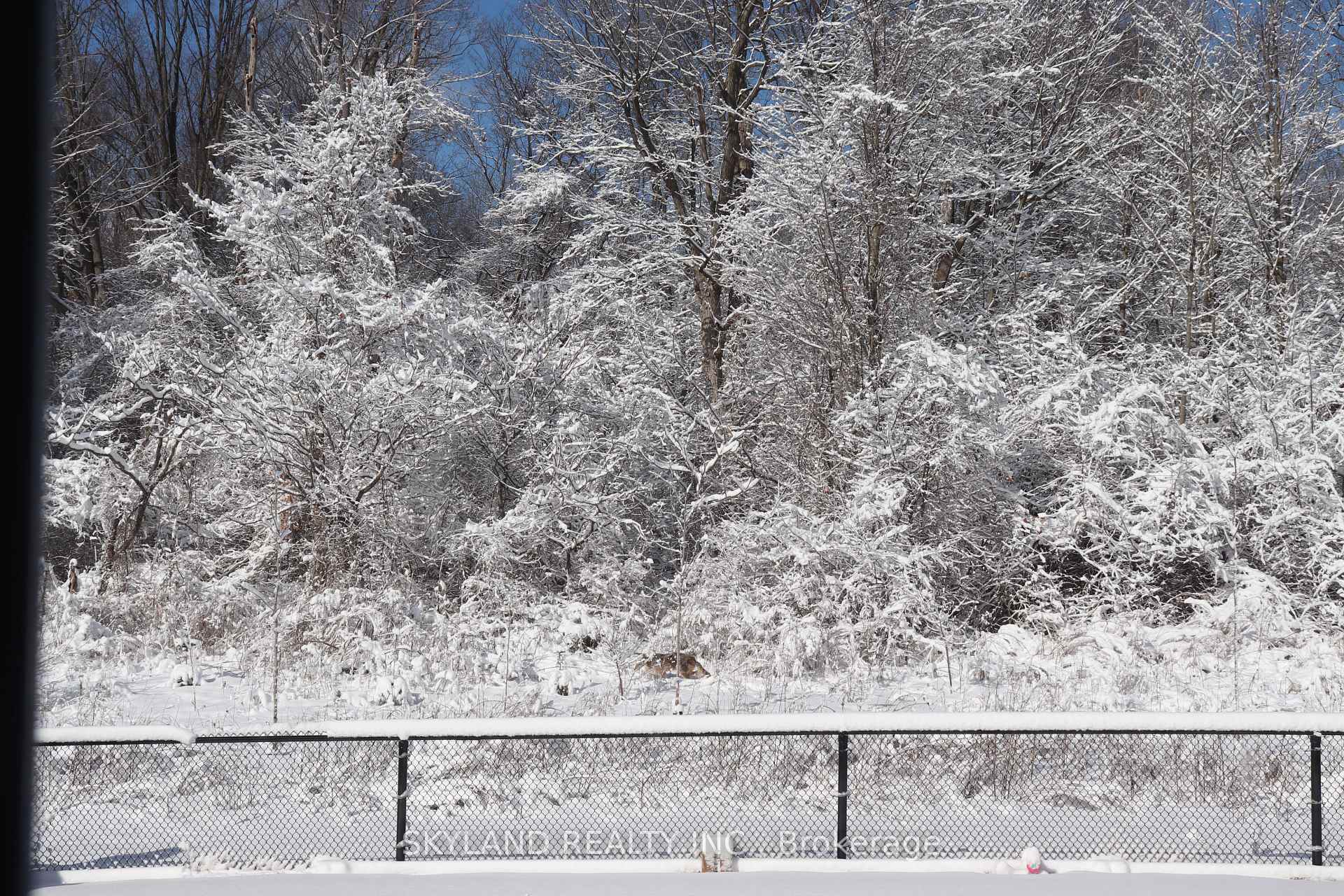 Photo 48 of 46 Beaverdams Drive, Whitby, Rural Whitby — HOMEH
