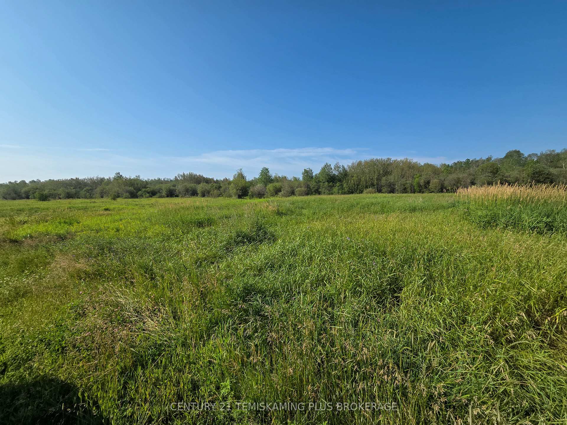 Photo 6 of PC24039 569 Highway, Timiskaming, TIM - Outside - Rural — HOMEH