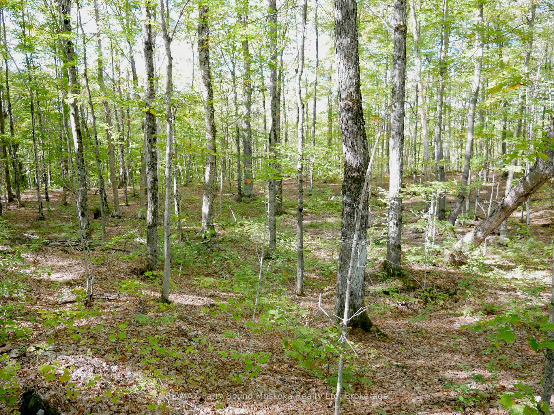 Photo 5 of Nelson Clelland Road, Magnetawan — HOMEH