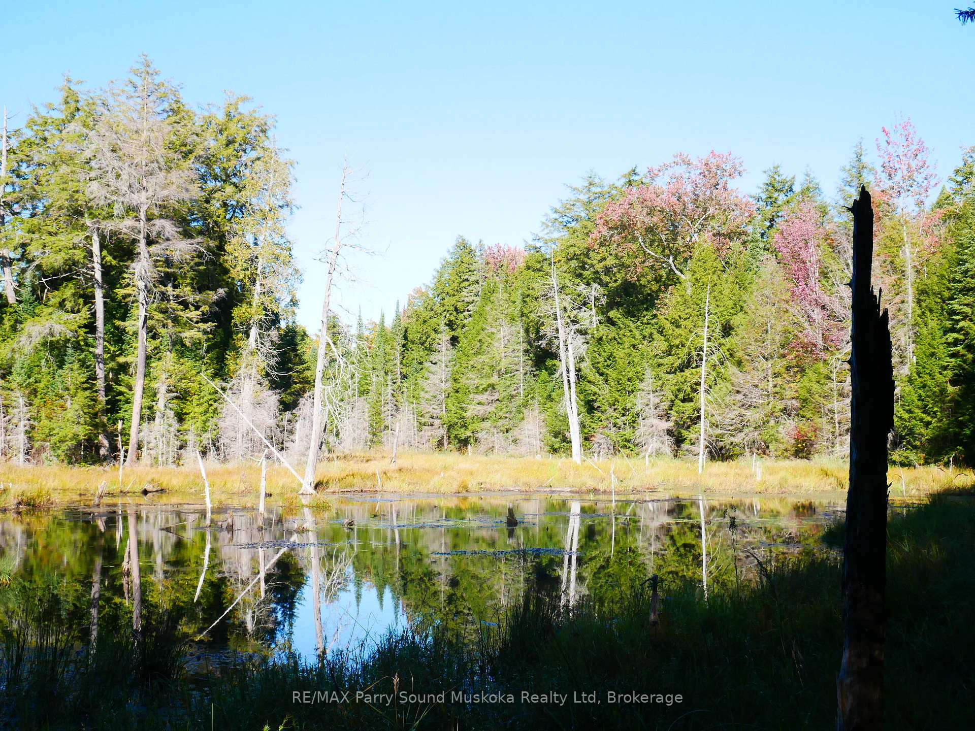 Photo 38 of Nelson Clelland Road, Magnetawan — HOMEH