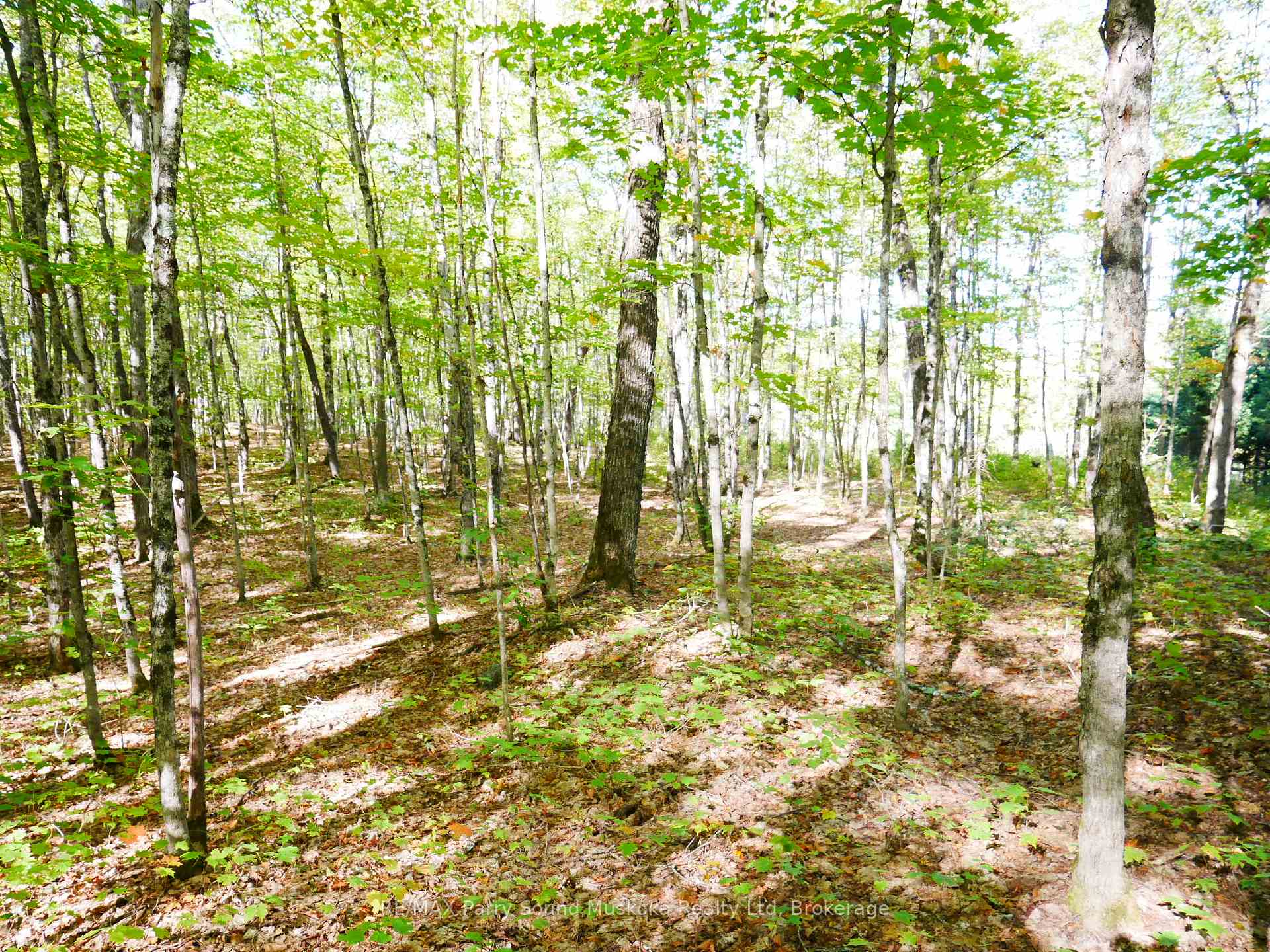 Photo 31 of Nelson Clelland Road, Magnetawan — HOMEH