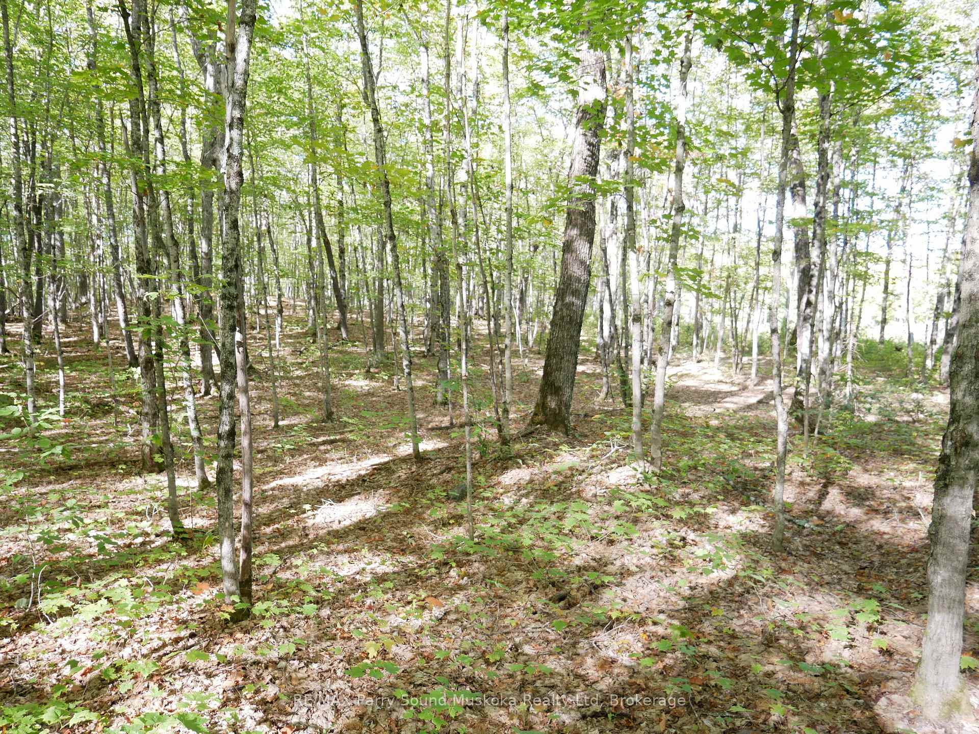 Photo 36 of Nelson Clelland Road, Magnetawan — HOMEH